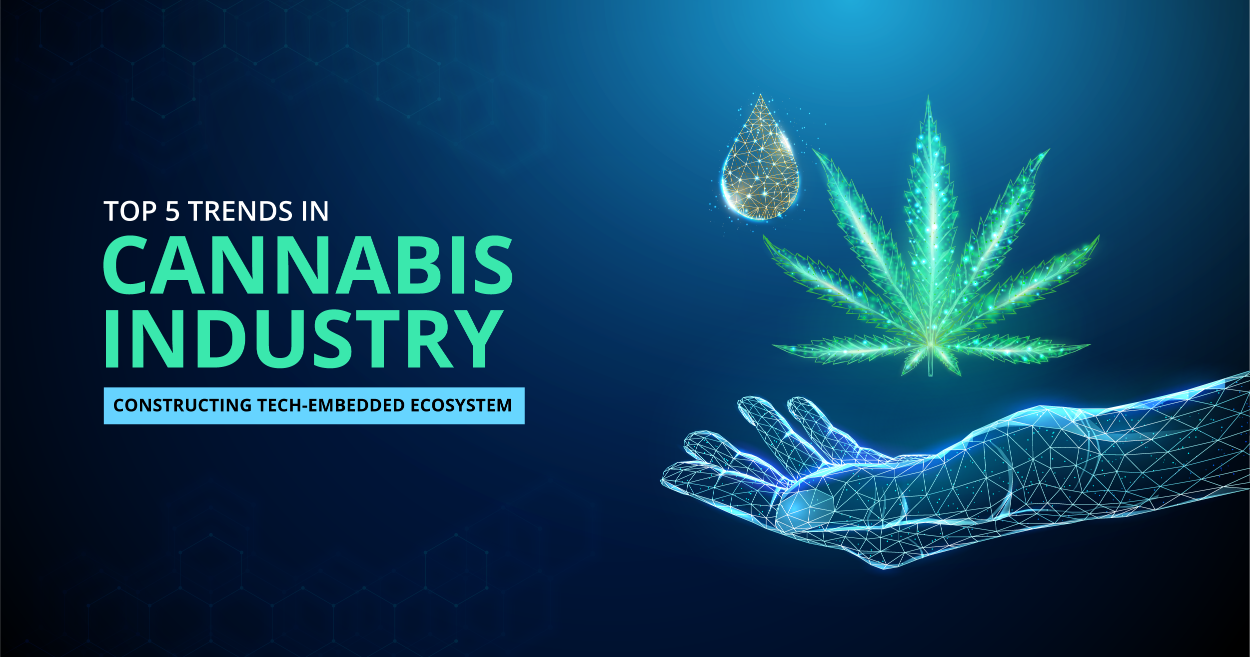 Top 5 Trends in Cannabis Industry Constructing Tech-Embedded Ecosystem